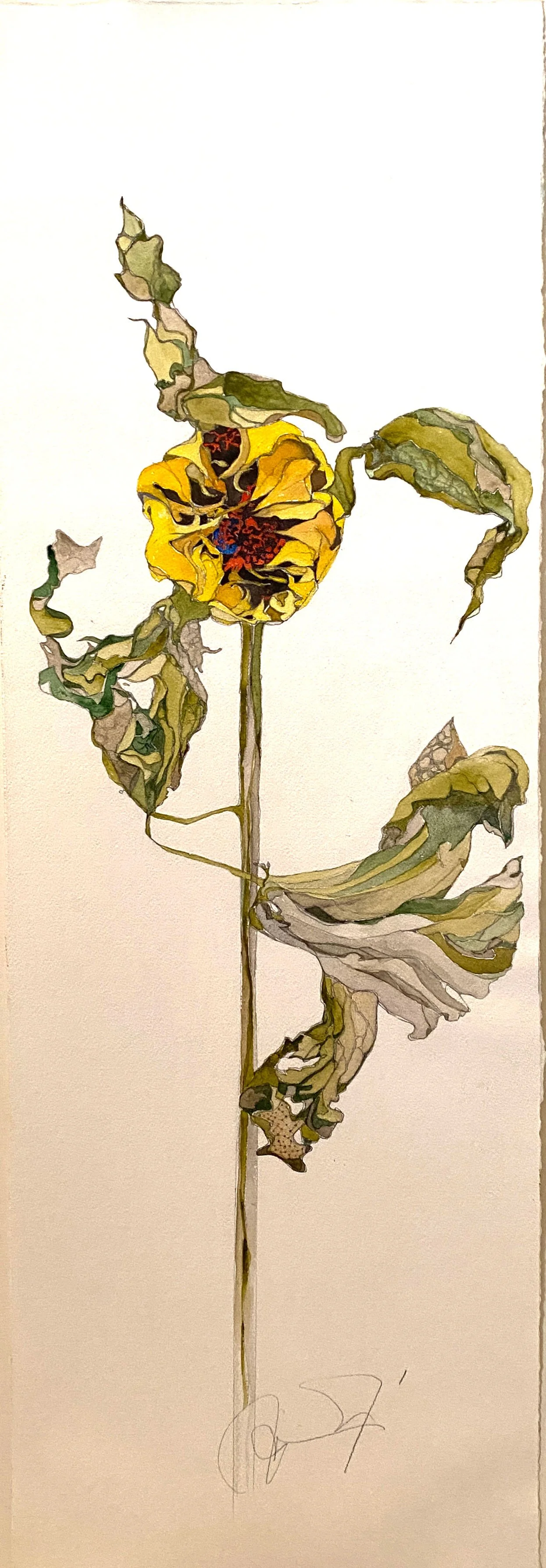 Fading Sunflower