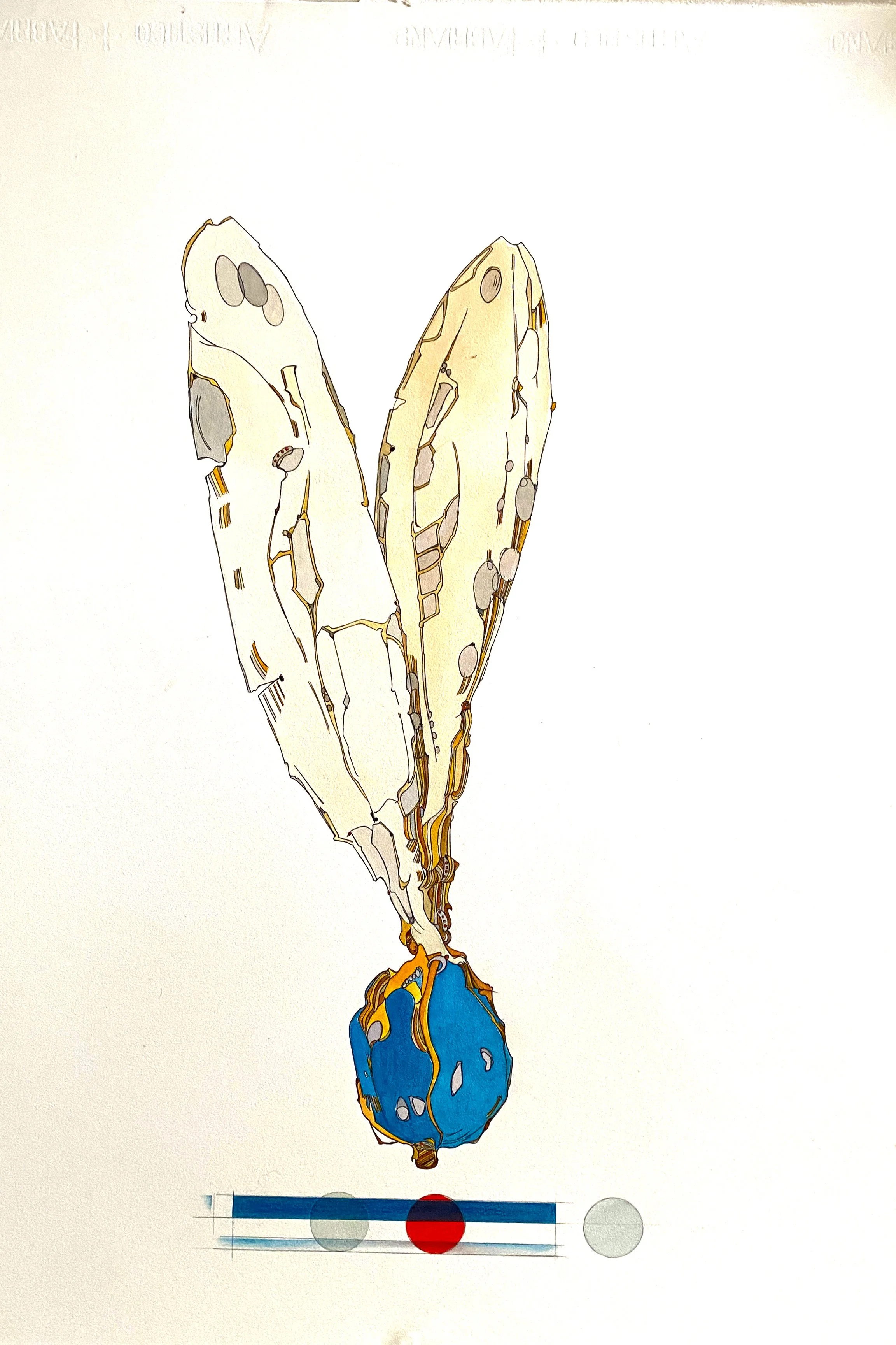 Blue Seeds with Wings # 2