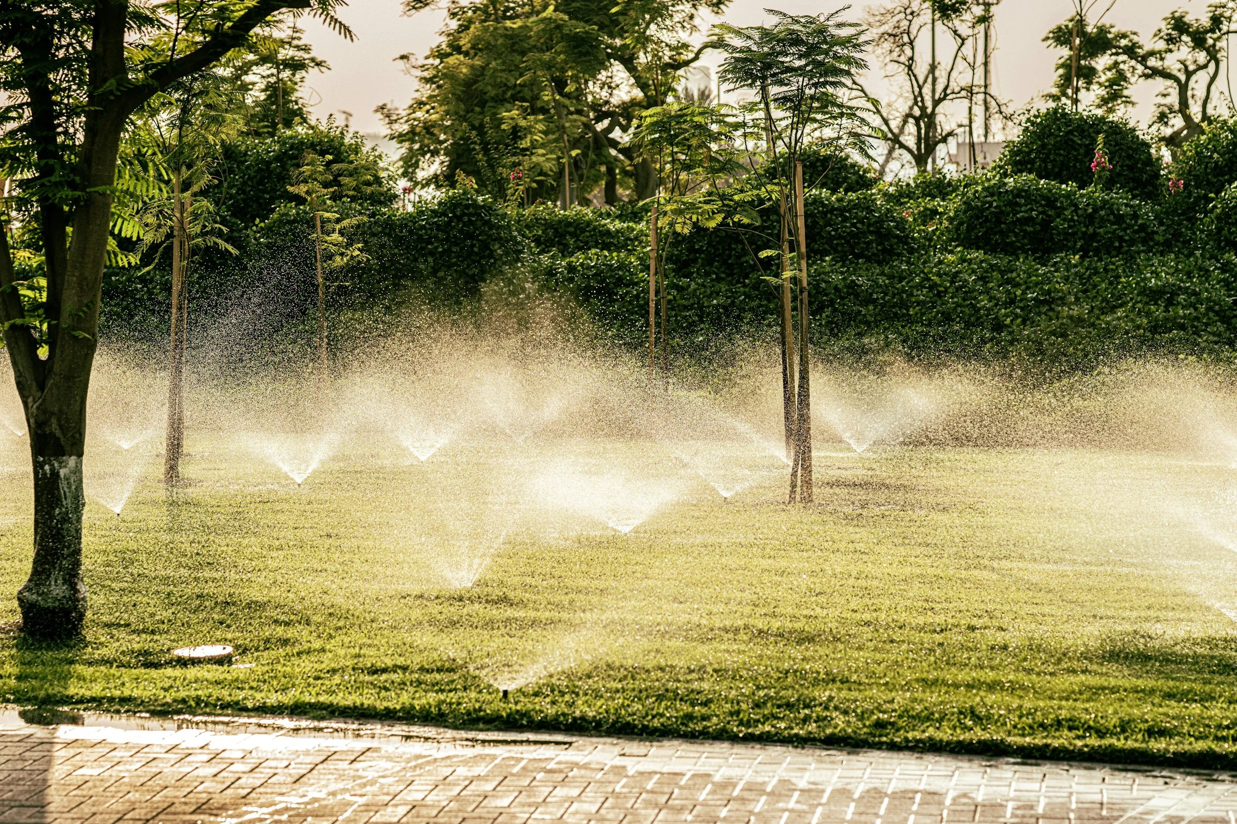 stock image of water sprinklers spraying
