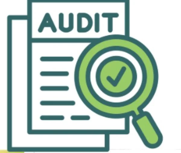 graphic of audit with magnifyer