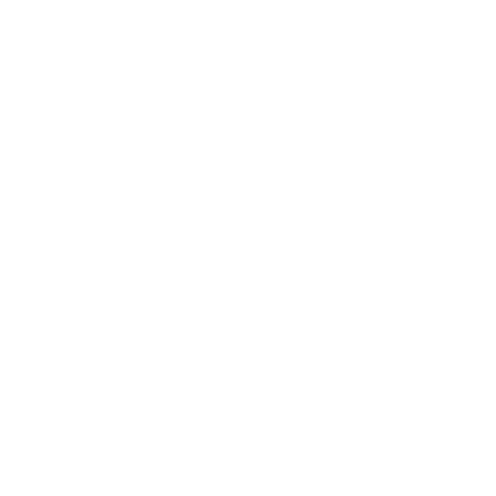 LucyGoose Ice Creamery