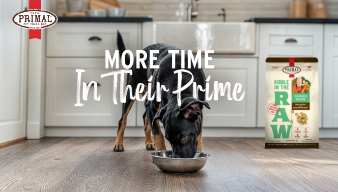 Screenshot 2026-02-17 at 6.11.01 PM.png