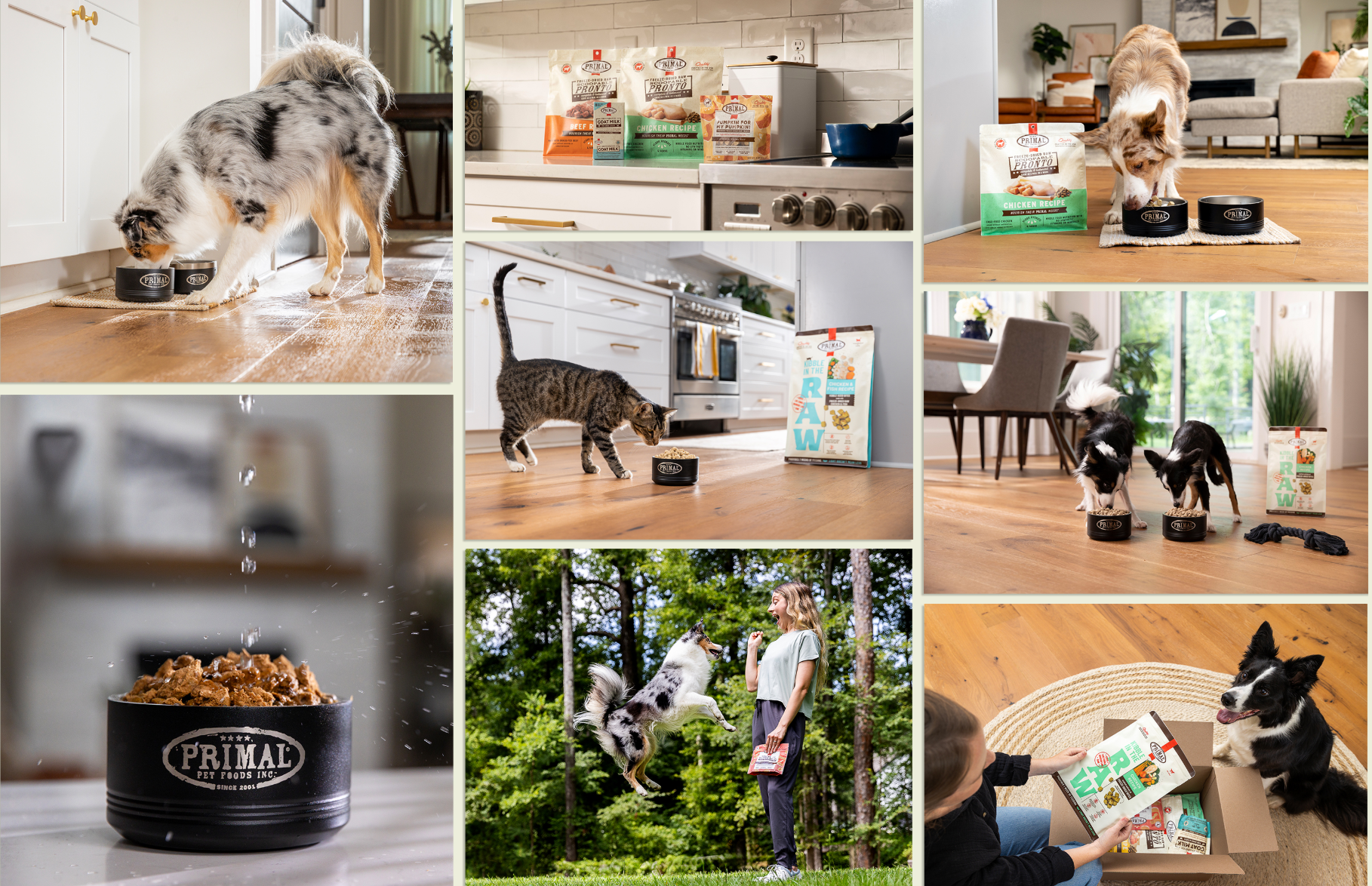 Screenshot 2026-02-17 at 9.15.24 PM.png