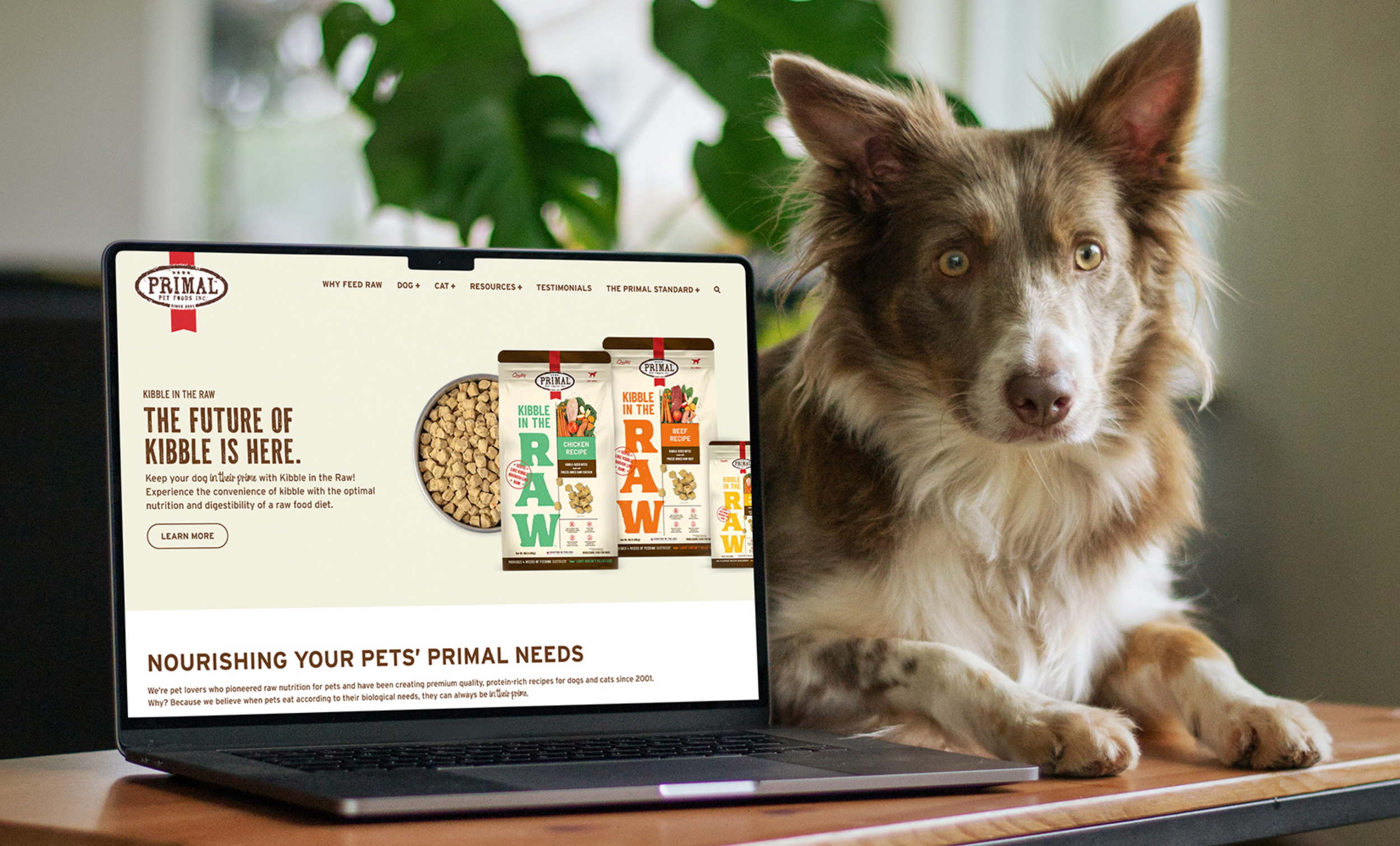 Screenshot 2026-02-17 at 9.23.25 PM.png