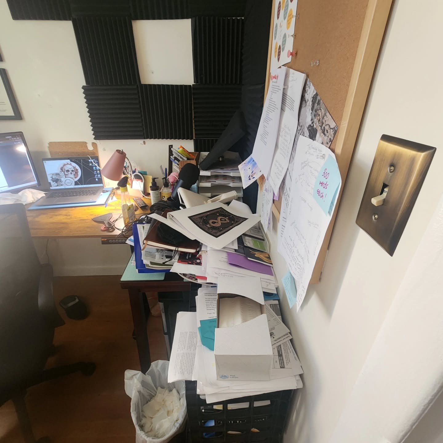 For at least 3 terms now I've just been tuning out ever mounting piles of shit stacked around me in my office and grinding through work instead of straightening up cause there's just NO TIME. Also, when we first got Chem, he liked to knock stuff off 