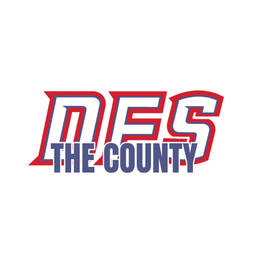 DFScty.png