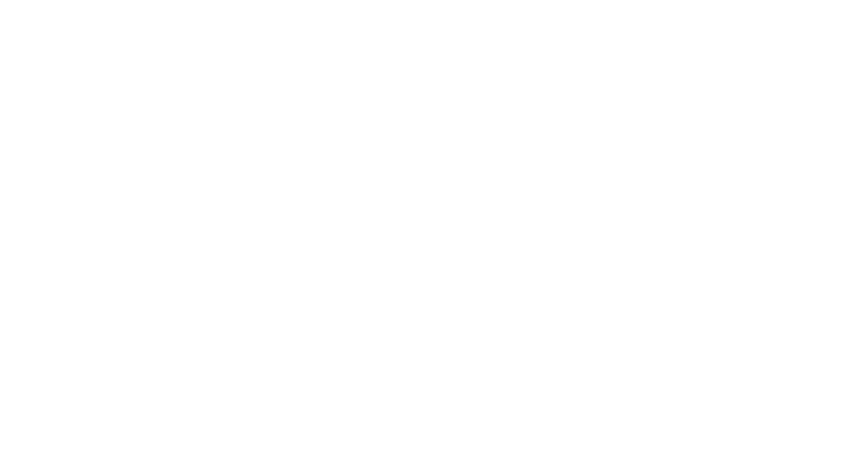 The Culture Theory