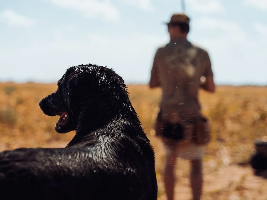 100 Club Dove Hunt 