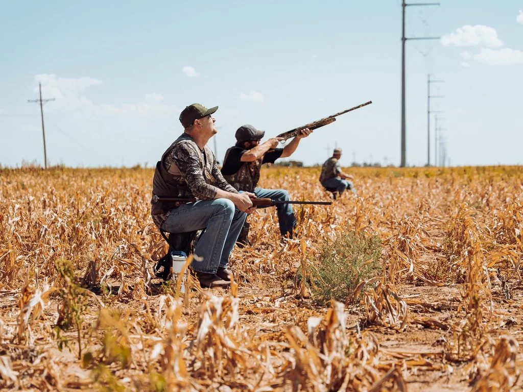 100 Club Dove Hunt Man in field hunting
