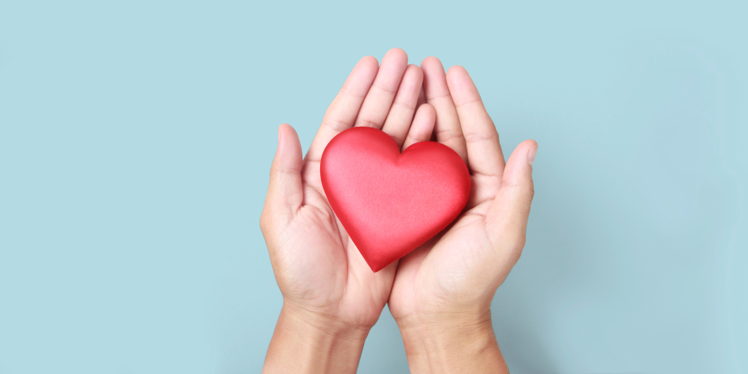 The Gut - Heart Connection — V L O U N G E