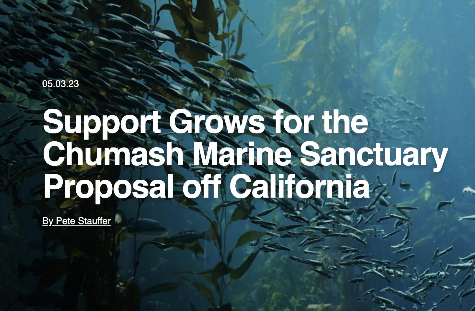 Support Grows for the Chumash Marine Sanctuary Proposal off California