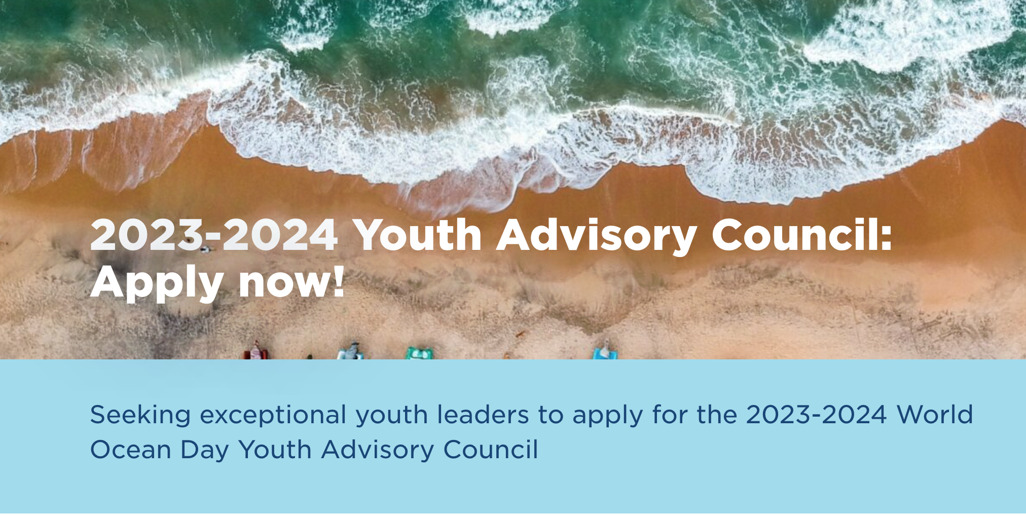 The Ocean Project Opens Applications for 2023-2024 Youth Advisory Council