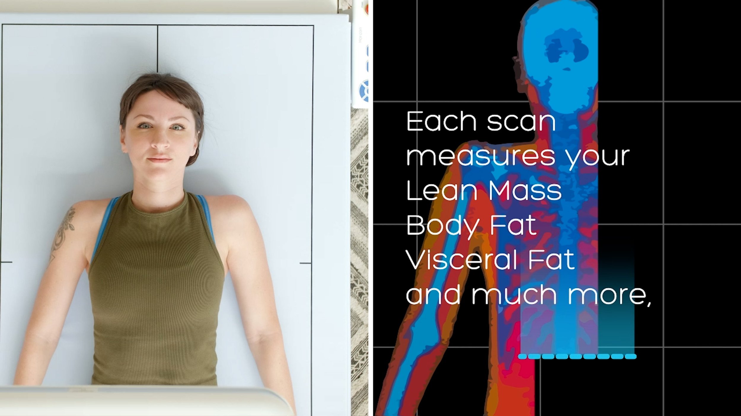 Dexa Scan Script “You Are What You Eat” - Using a DEXA Scan to Get Results — DEXA SF