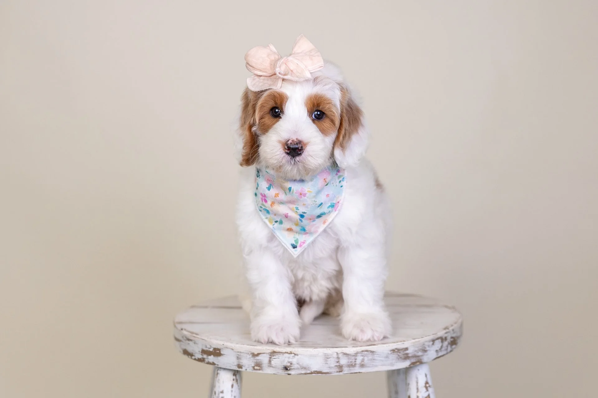 JunesSableWk8.jpg