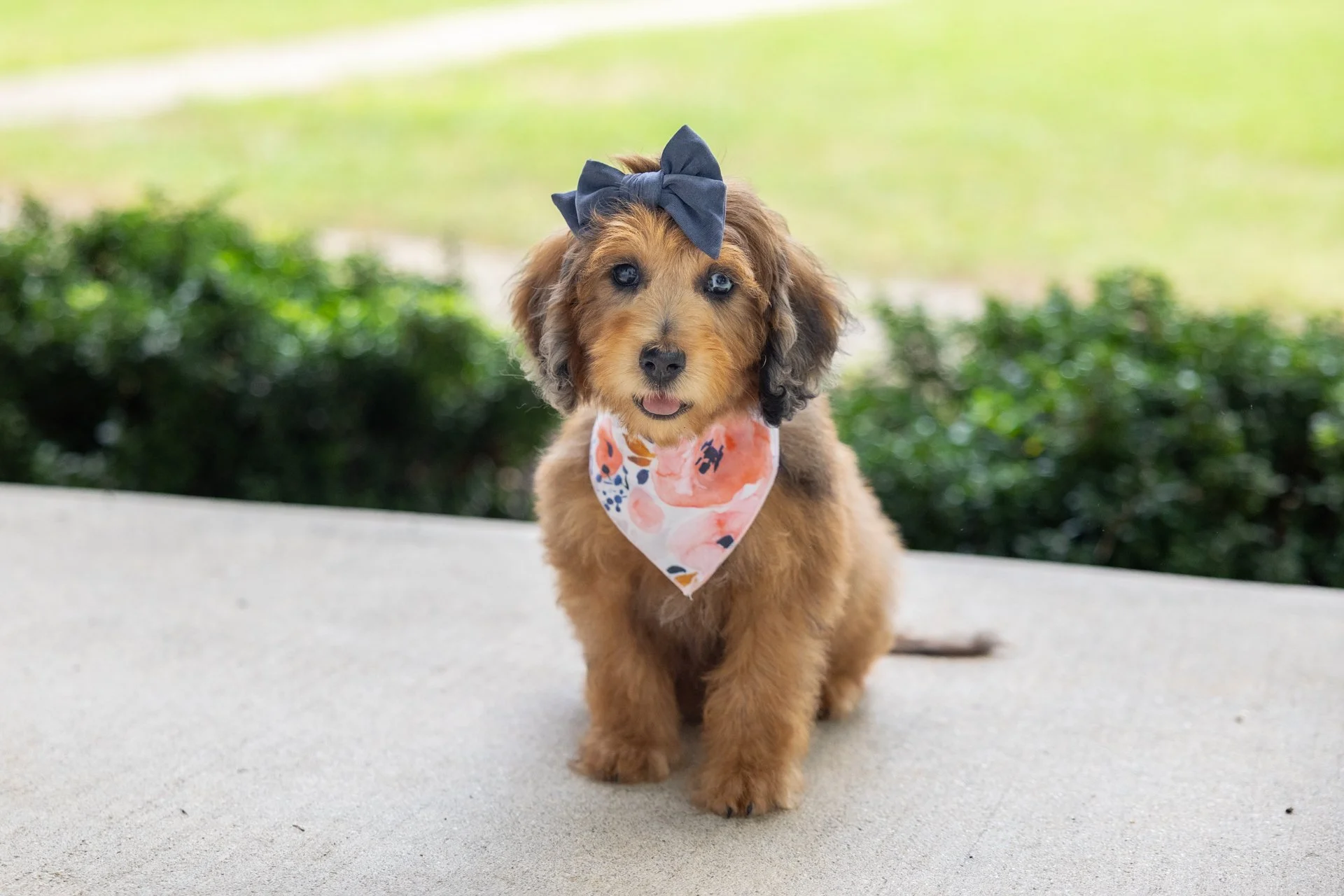 Mallory_sSavannahWk11.jpg