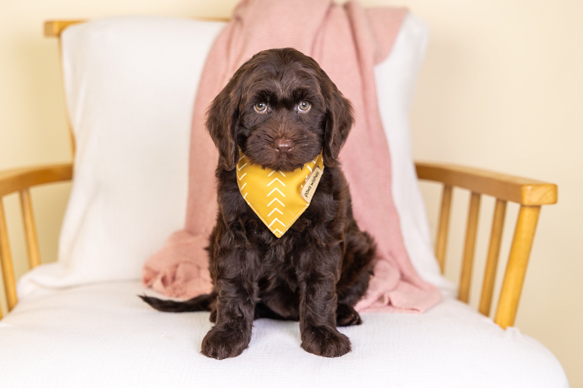 CovesMarsWk8.jpg