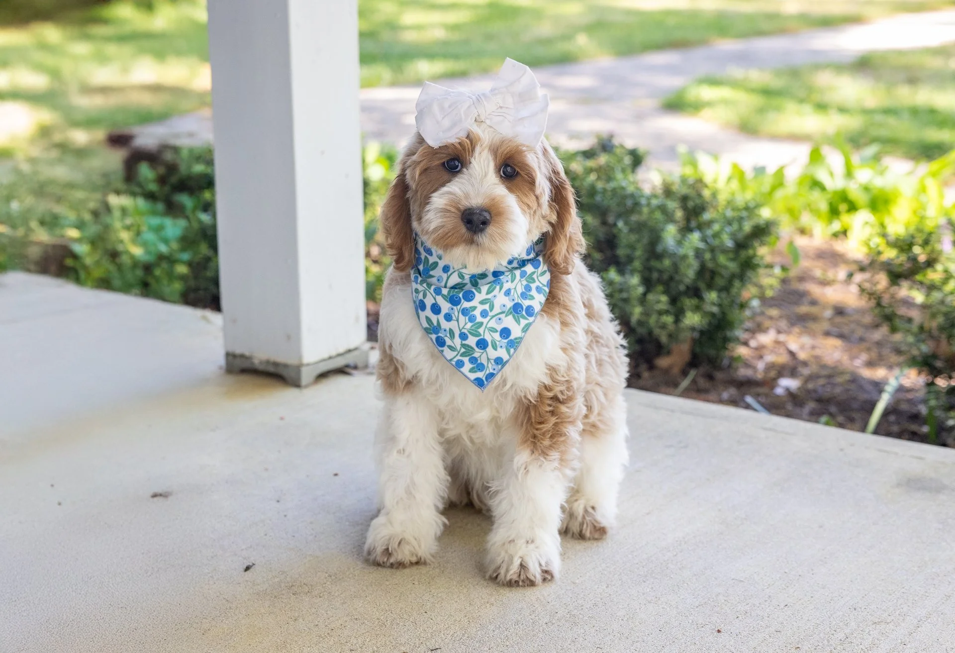 SuttonsRubyWk13-Edit.jpg