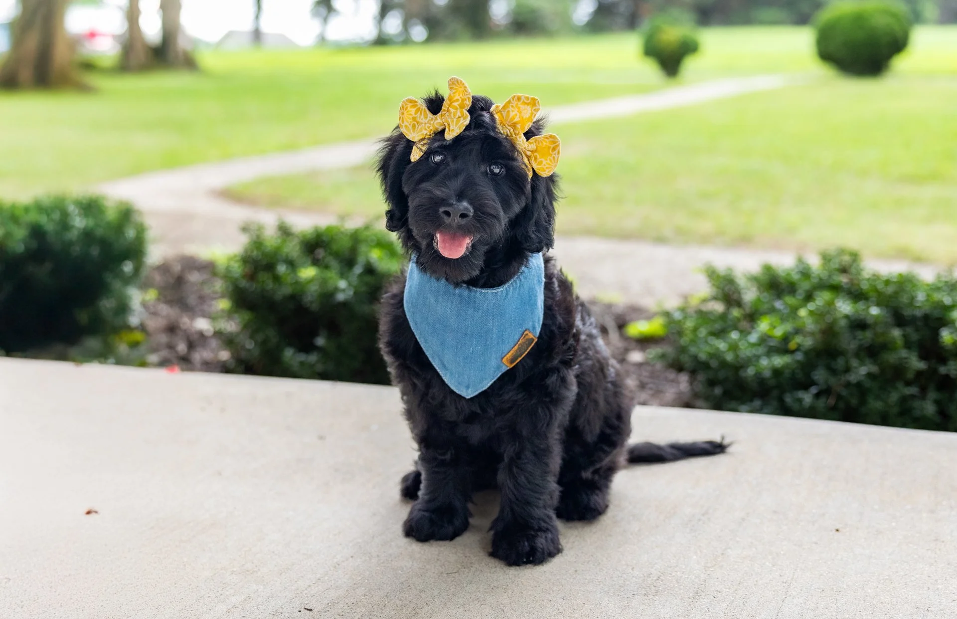 Mallory_sWillowWk11-Edit.jpg