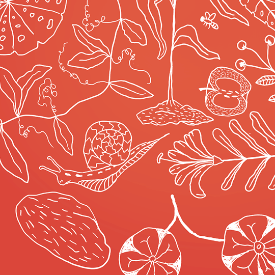 AUTUMN-VEGGIES_ZOOM.gif