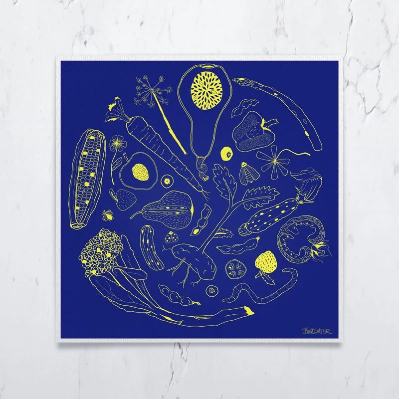 SUMMER_VEGGIES-ON-COUNTER_BLUE.jpg
