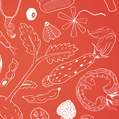 SUMMER-VEGGIES_ZOOM.gif
