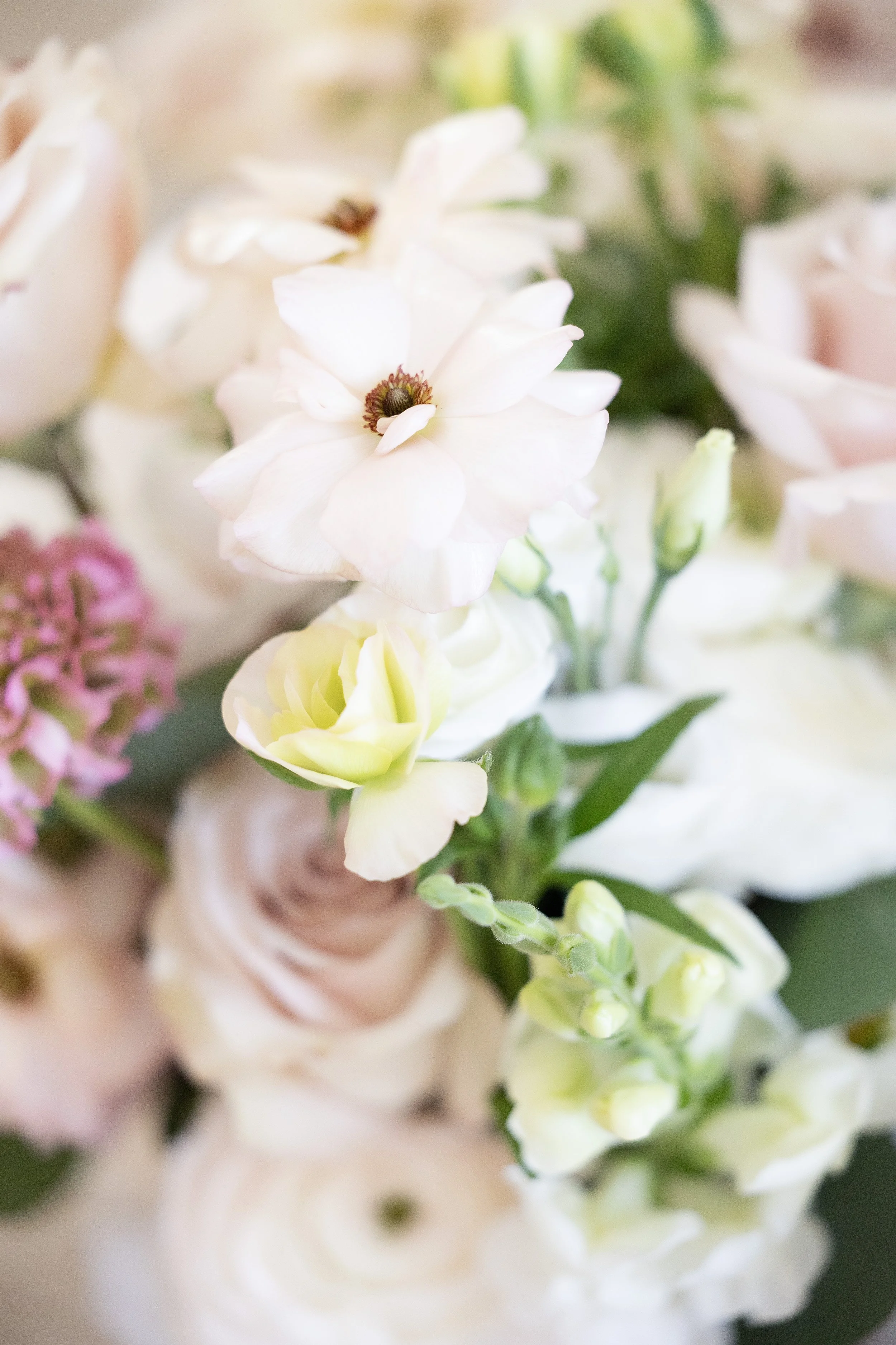 Lola Marie Photography103.jpg