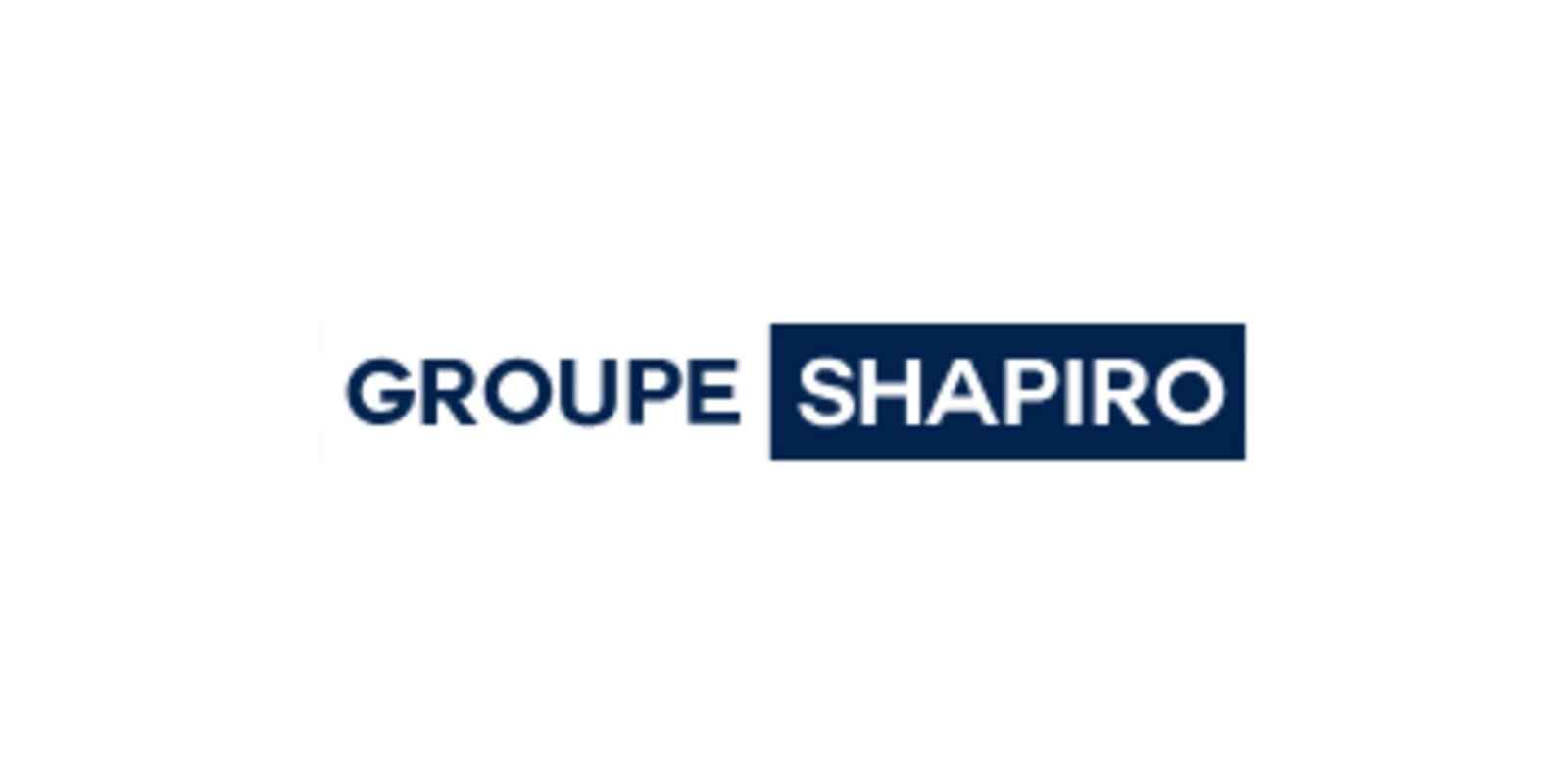 02-groupe-shapiro.png