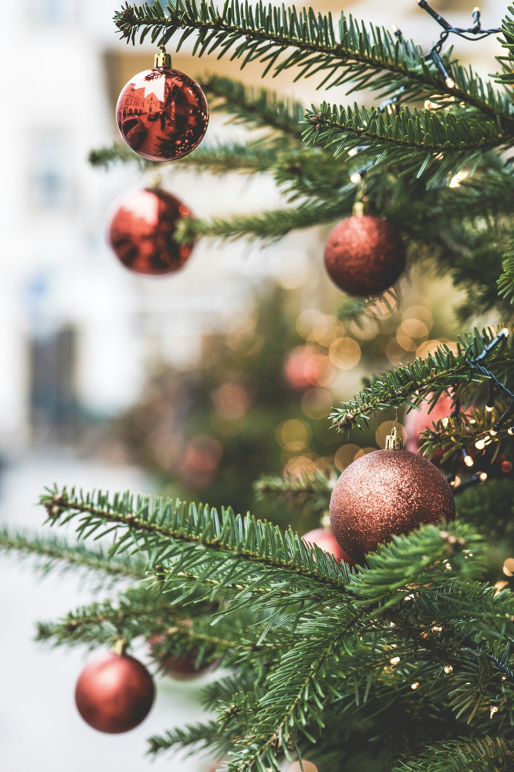 Youth Christmas Program