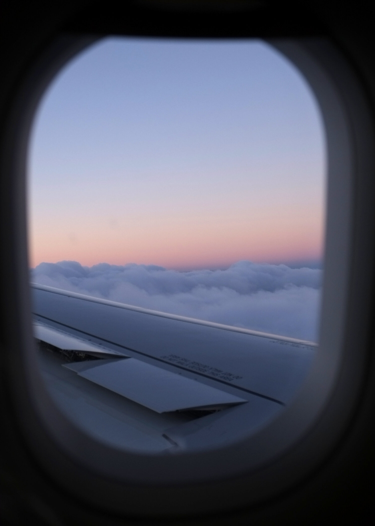 FLIGHT_WEB.jpg