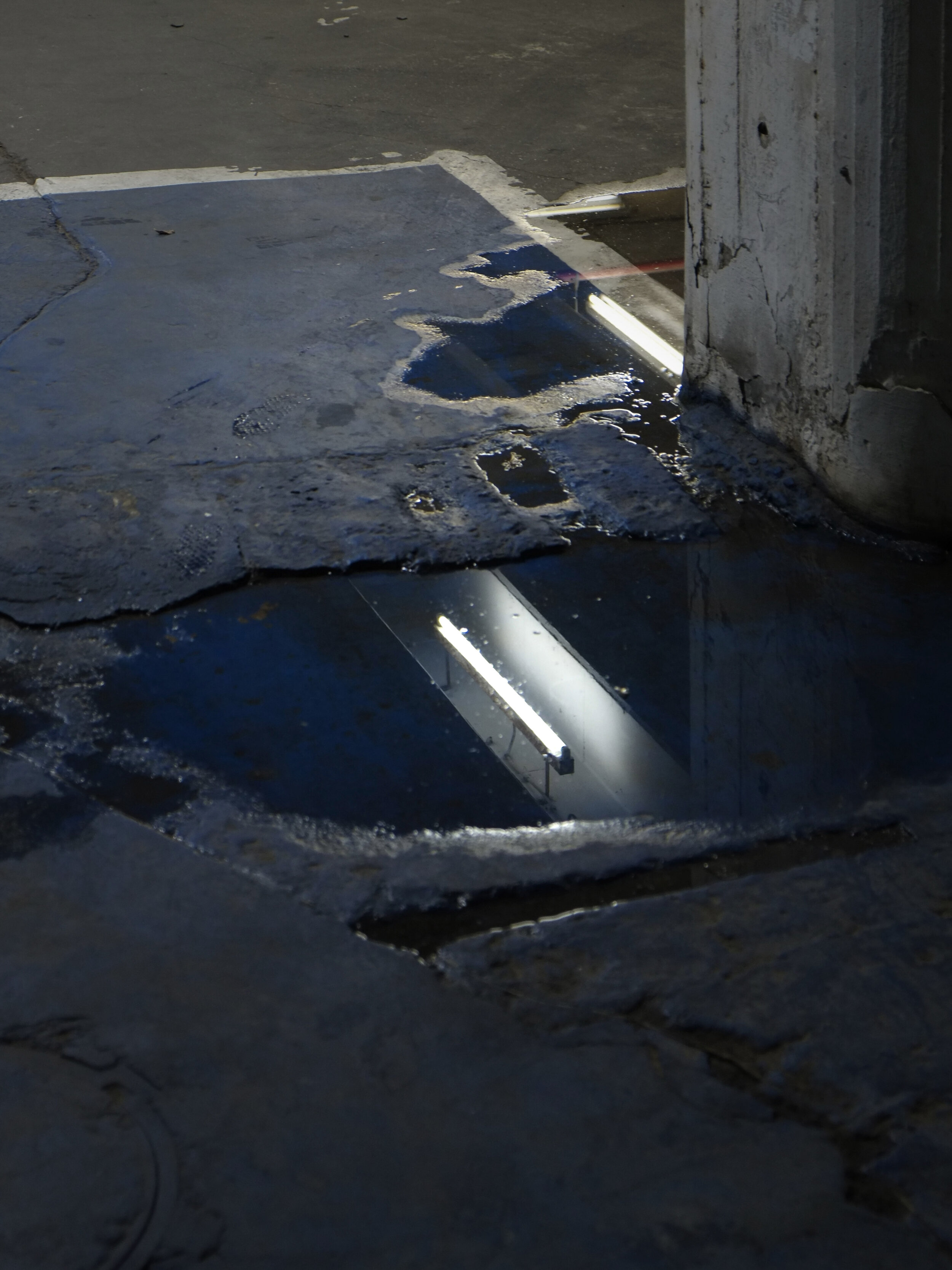 NEON_REFLECTION_WEB_3x4.jpg