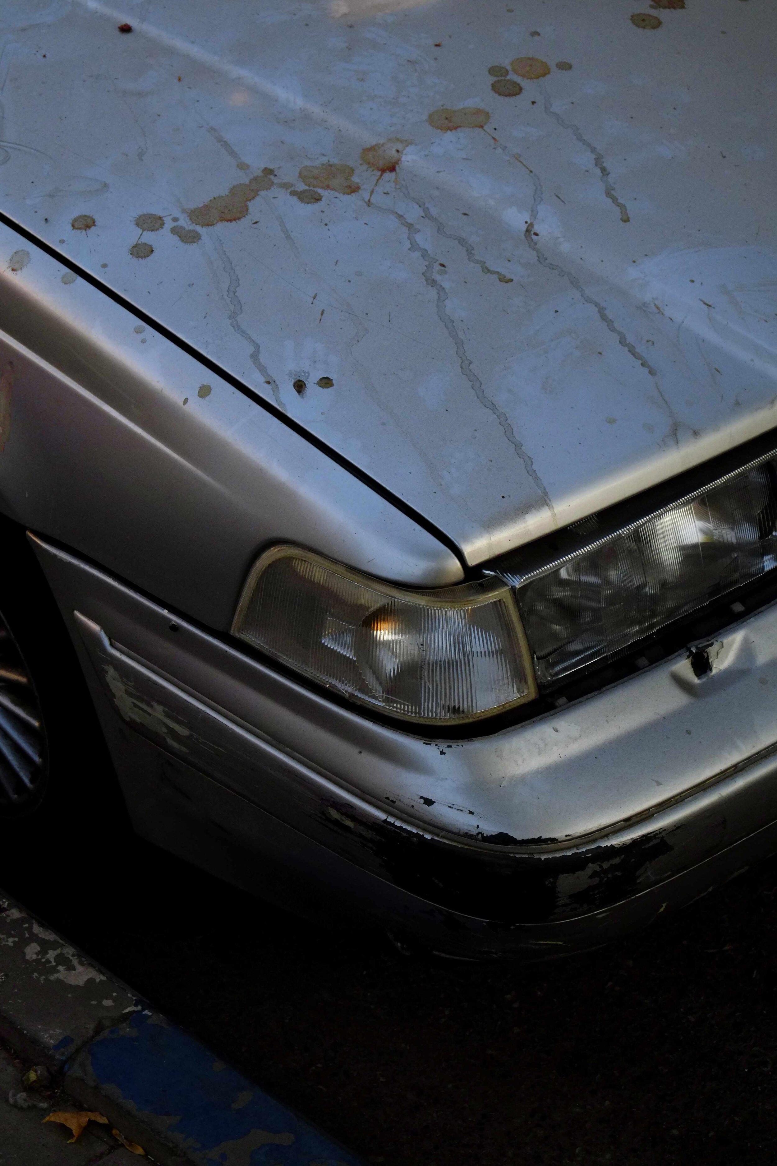 CAR_BLOOD_WEB.jpg