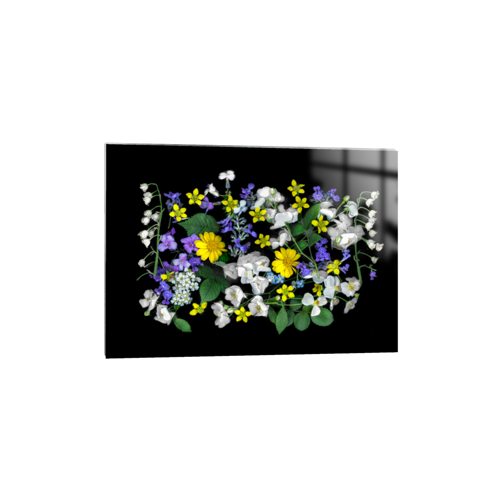 ptq_13_7_0_34_800_571_0_false_ffffff_0_0_.png