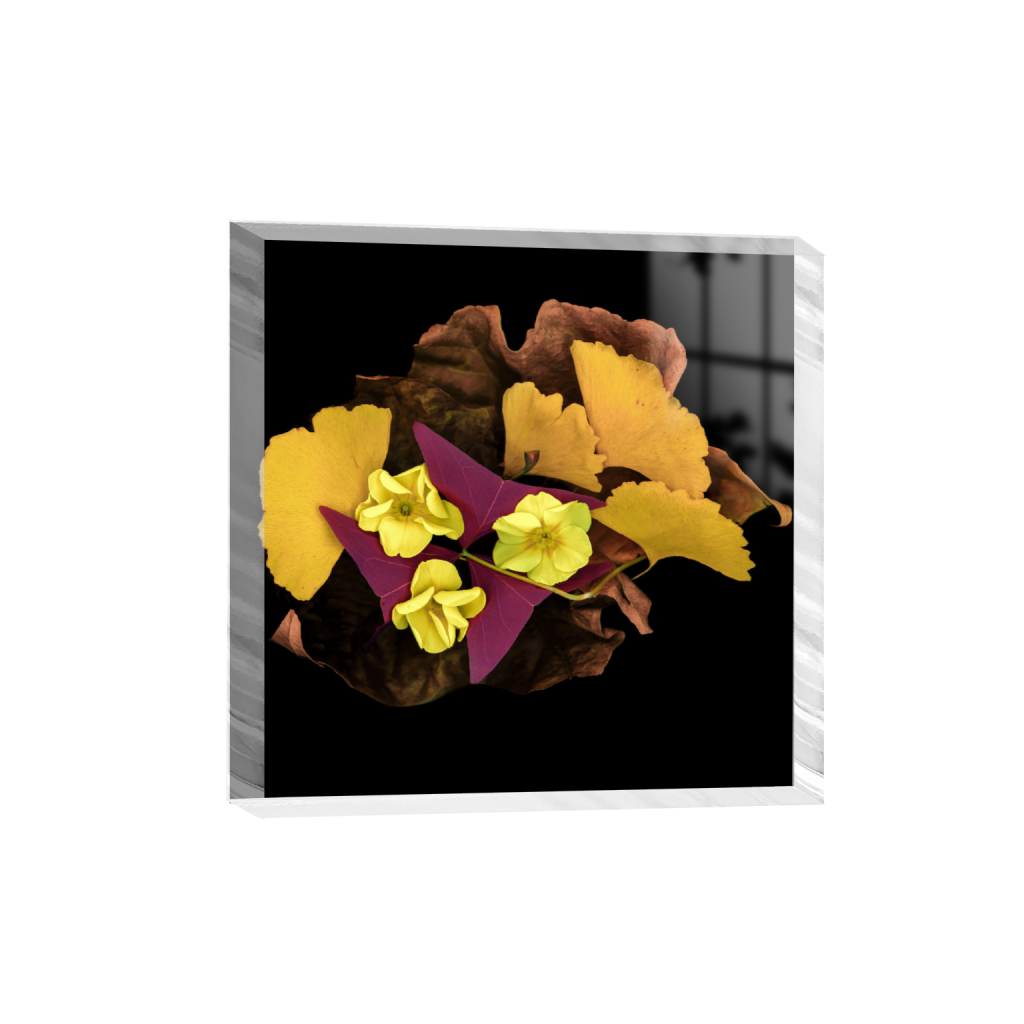 ptq_300_0_1070_0_8559_8559_0_false_ffffff_0_0_.png