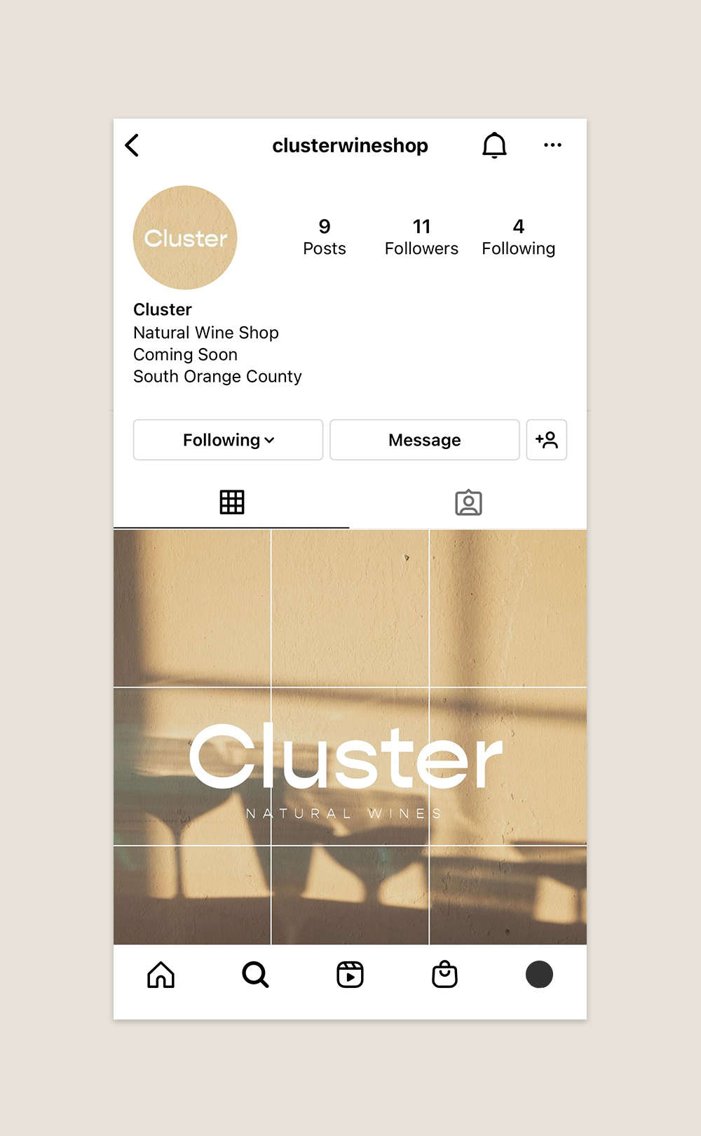 Portfolio_Cluster_IGGrid.png