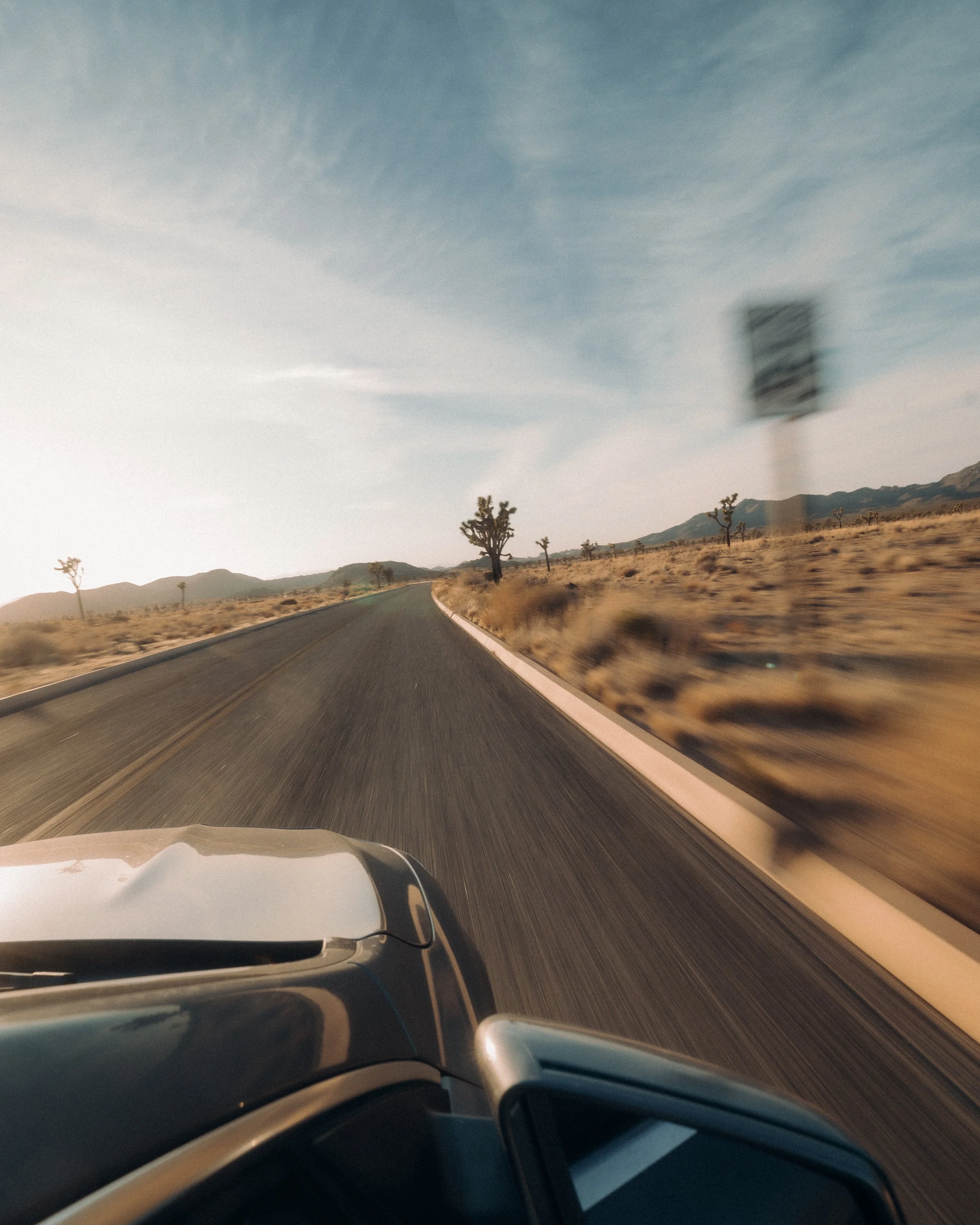 TL Joshua Tree-2.JPG