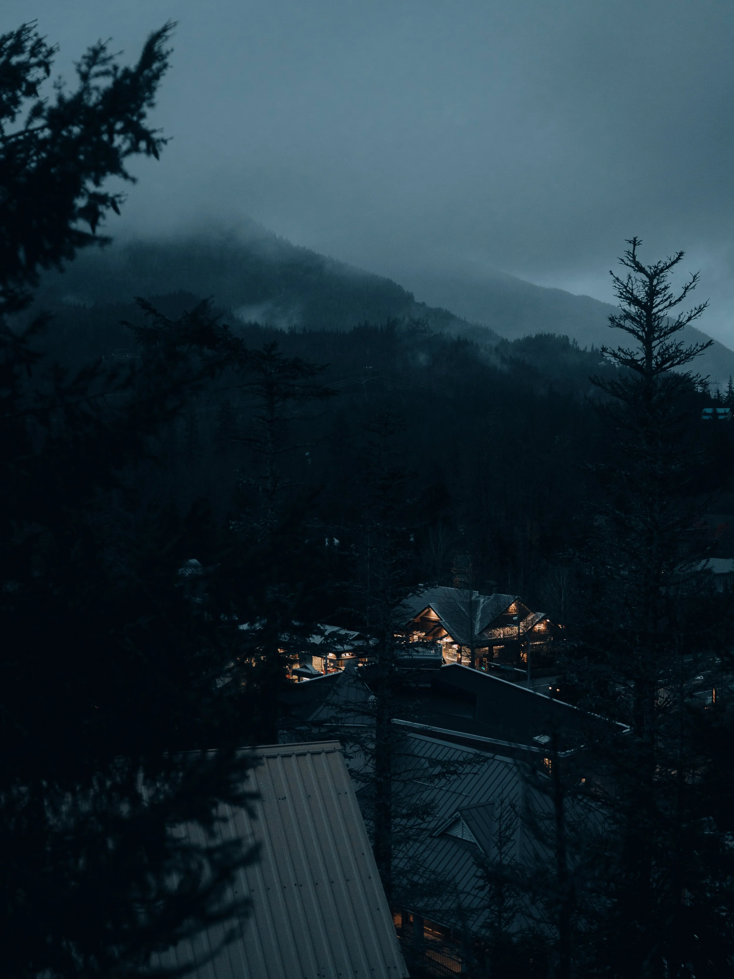 Whistler (1 of 1).jpg