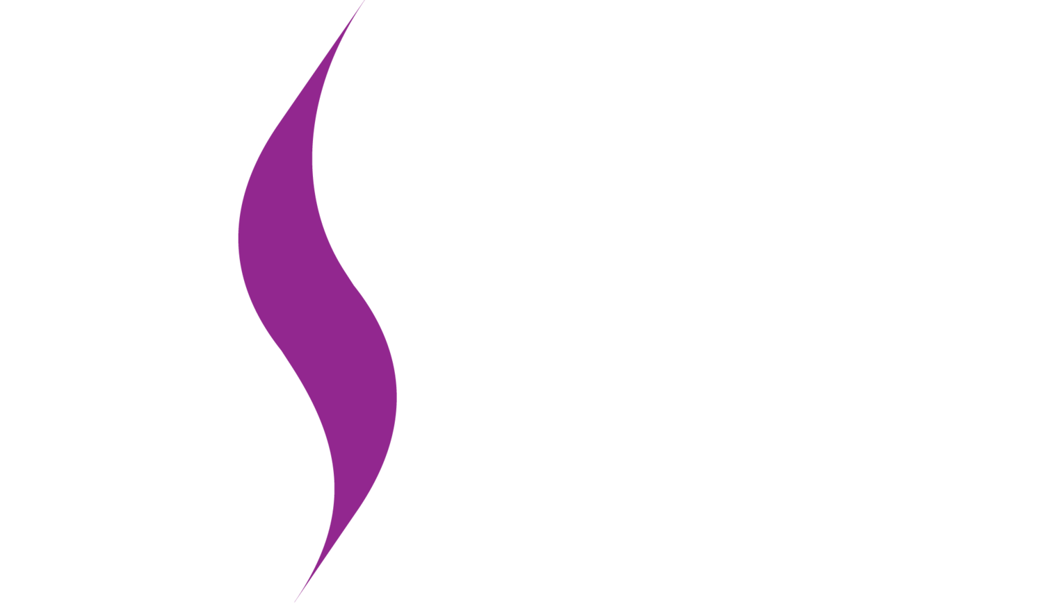 Western Sydney Executive Women
