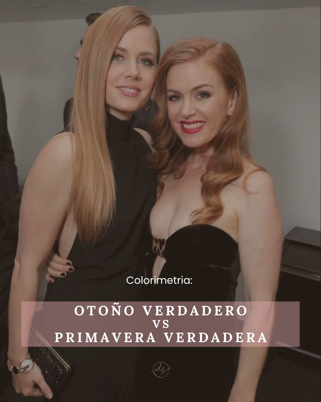 🍂 Oto&ntilde;o Verdadero vs Primavera Verdadera 🌼

&iquest;Sab&iacute;as que estas dos estaciones c&aacute;lidas comparten similitudes&hellip; pero tienen diferencias clave que transforman totalmente una paleta?

Ambas se caracterizan por colores c