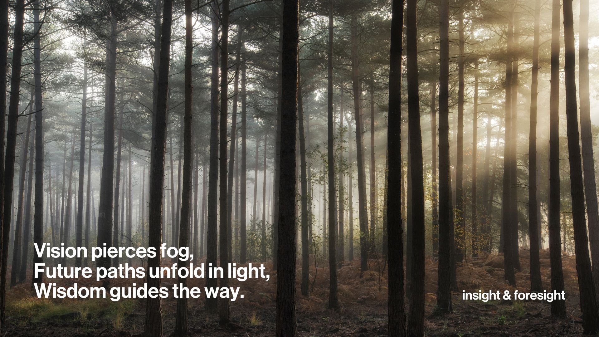 A foresight haiku - Vision pieces fog, Future paths unfold in light, Wisdom guides the way.