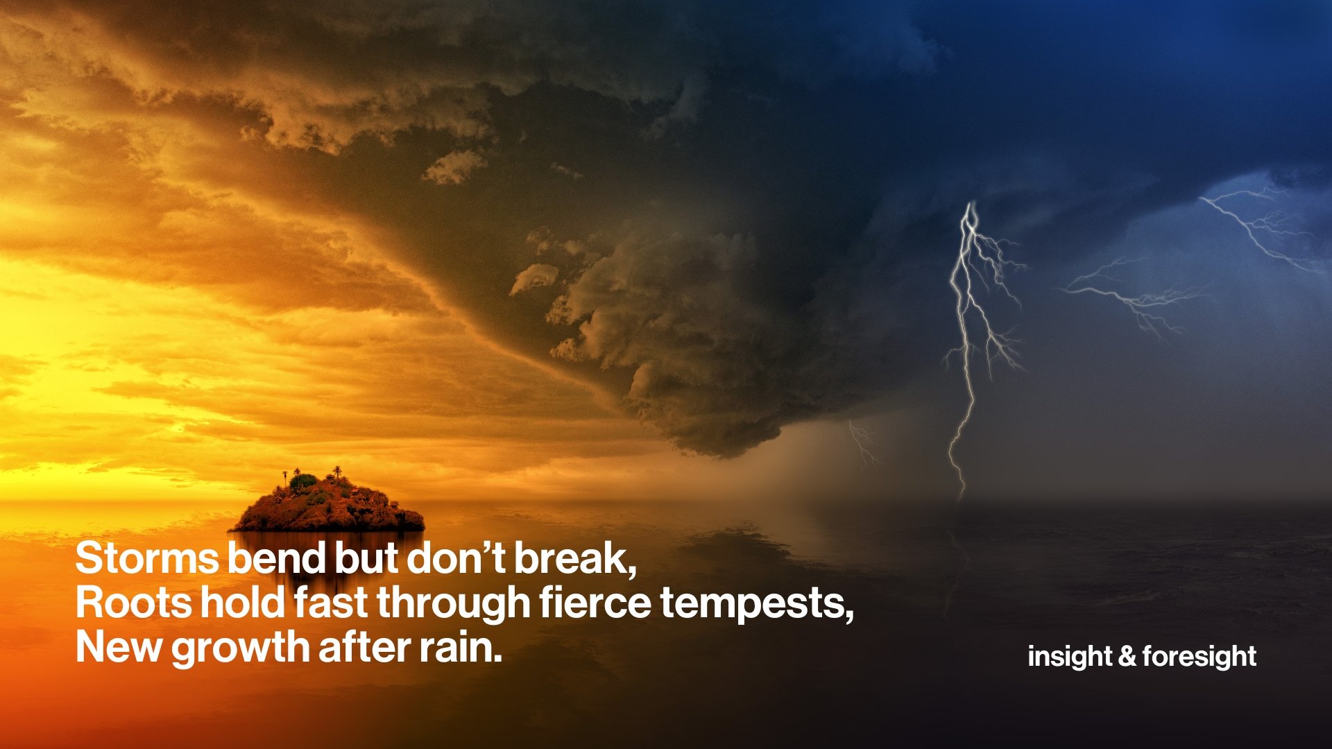 A foresight haiku - Storms bend but don’t break,
Roots hold fast through fierce tempests,
New growth after rain.