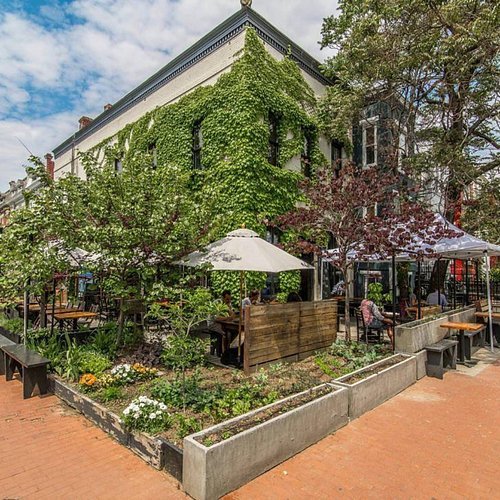 Saturday Long Run - Big Bear Cafe