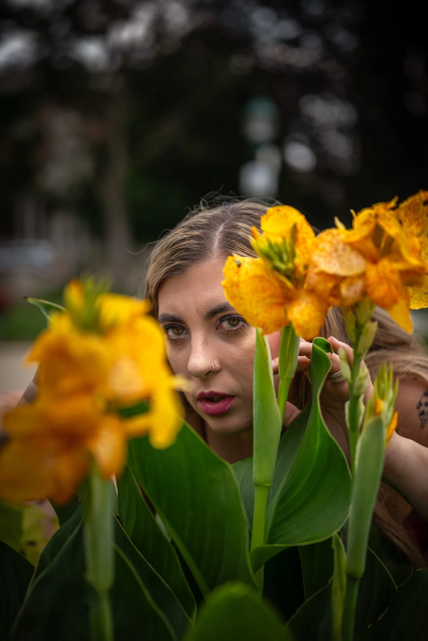 Portraits