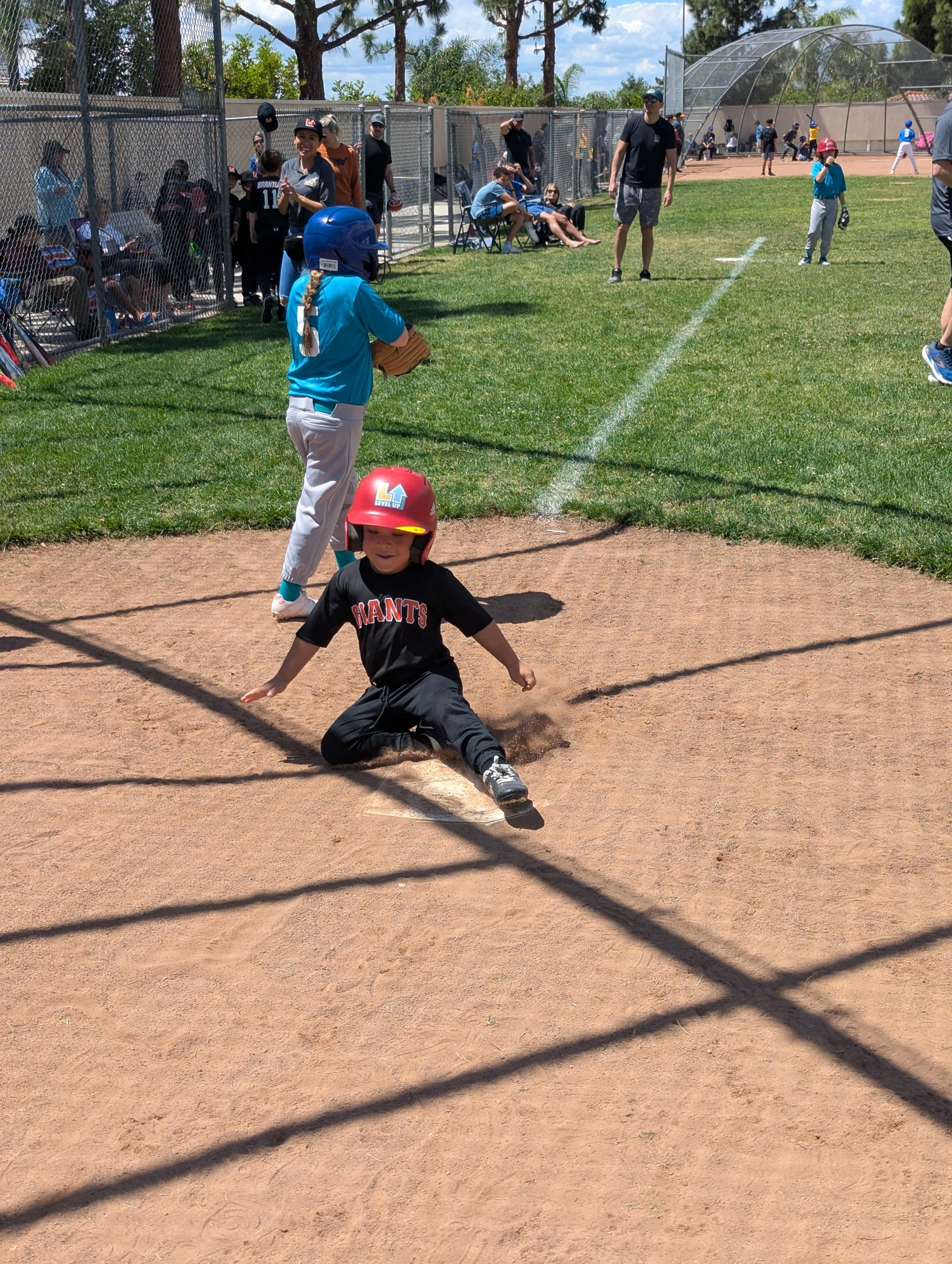 PXL_20260411_192538836 (1).jpg