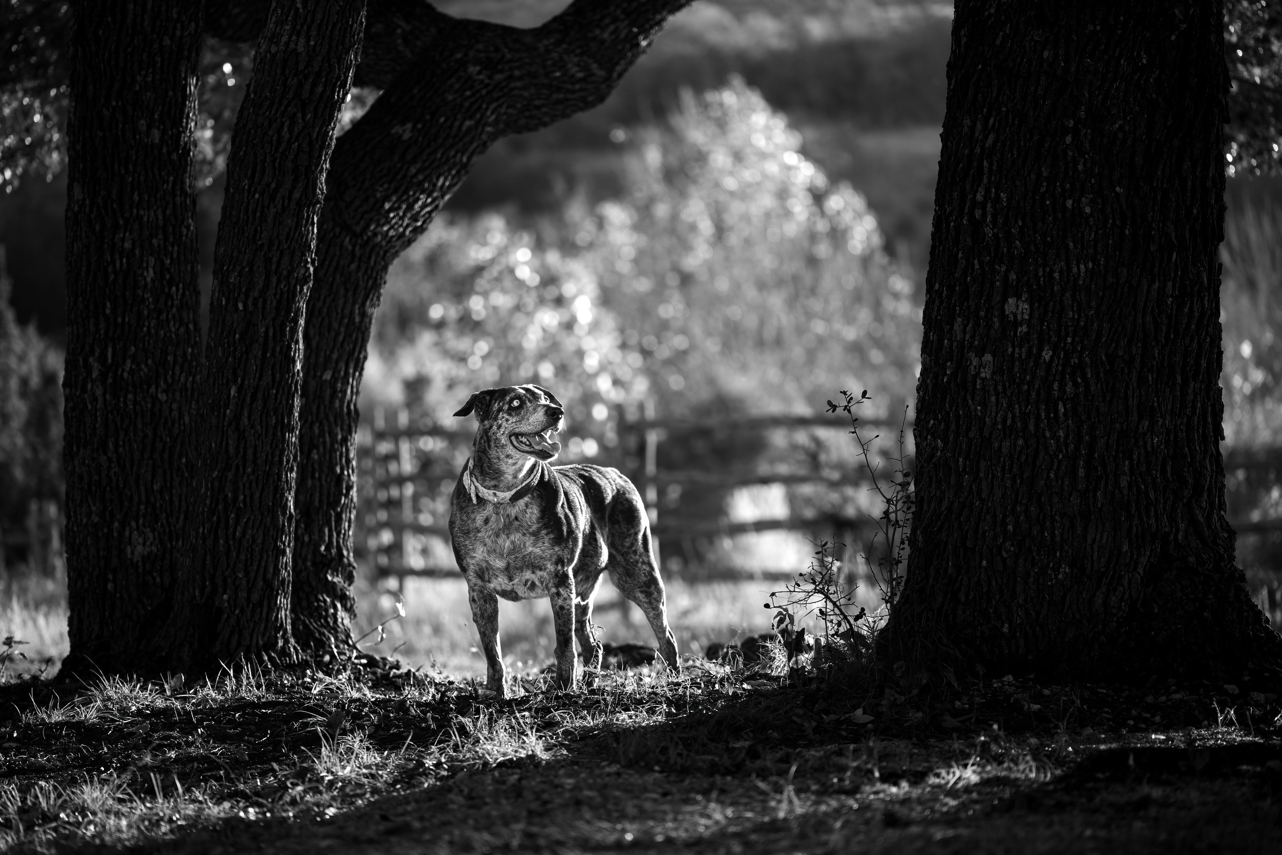 _DSC5427-Edit copy.jpg