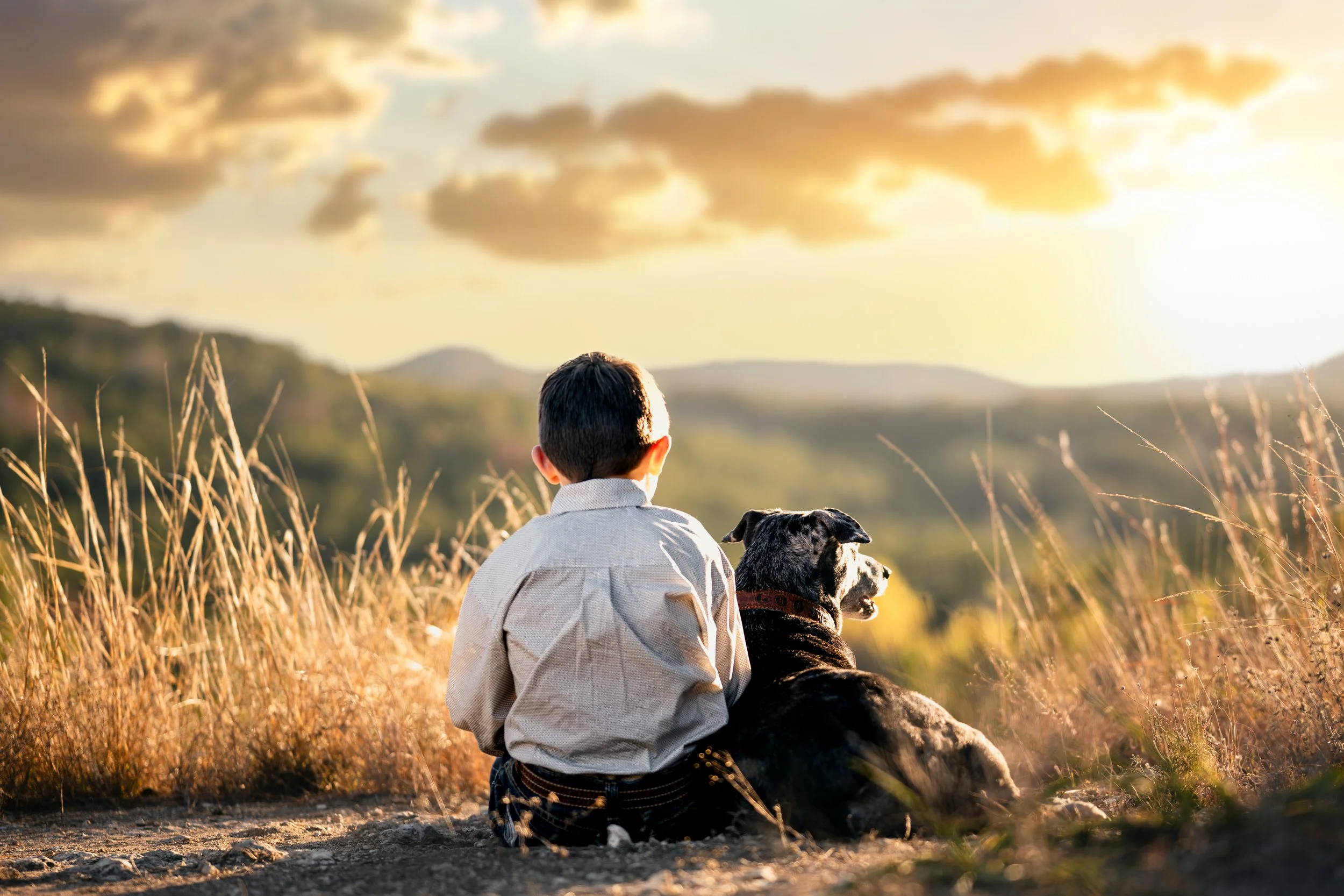 A boy and a dog sitting on a dirt path in a field during sunset, gazing at the distant hills and cloudy sky.