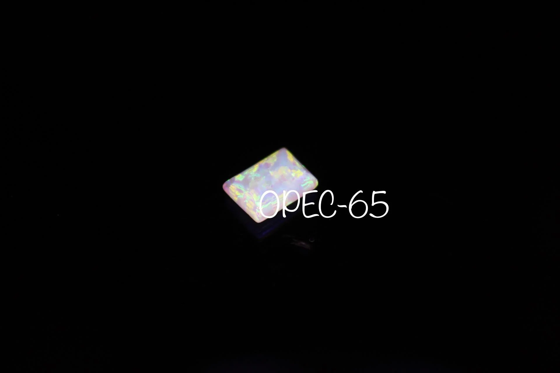 364353604_959394965318736_5587334201312516236_n.jpg