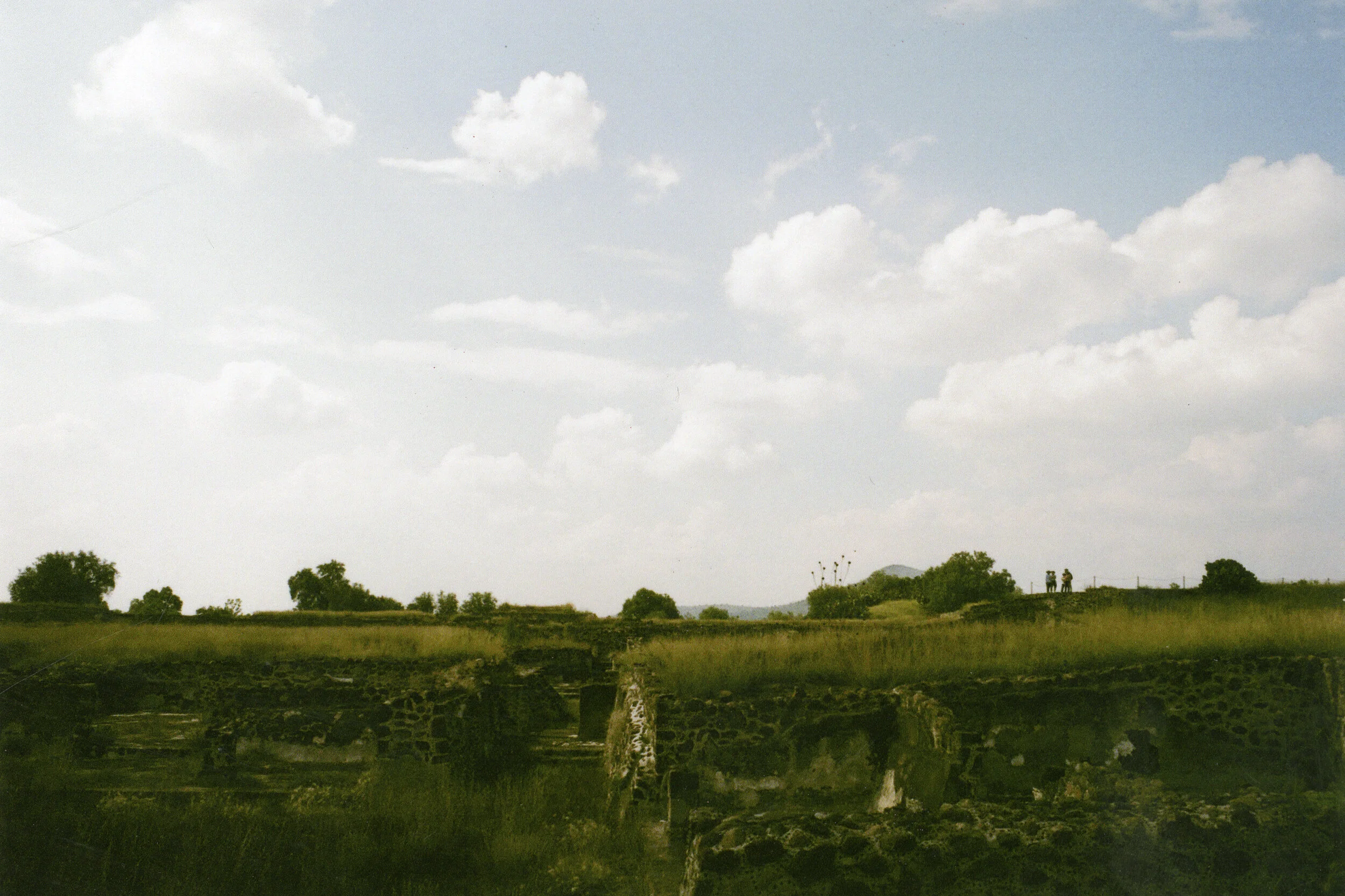 haluka-yagi--vancouver-bc--film-photography-23.jpg