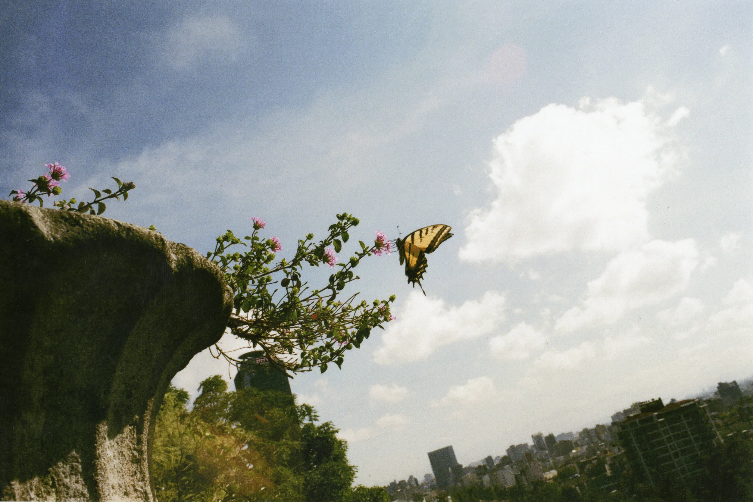 haluka-yagi--vancouver-bc--film-photography-34.jpg