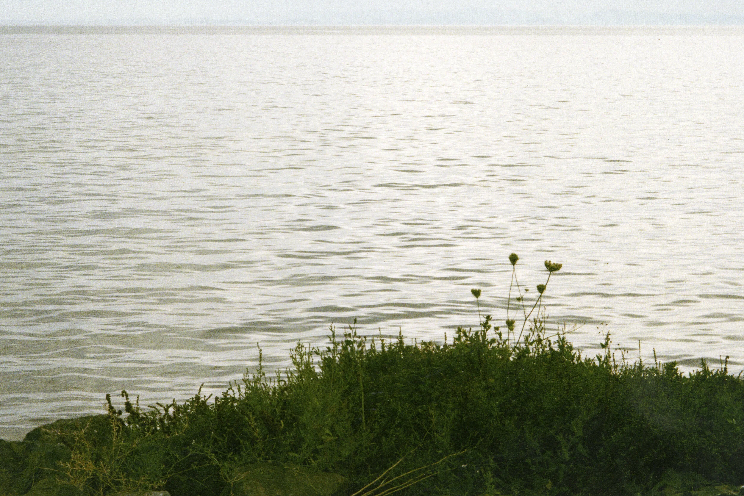 haluka-yagi--vancouver-bc--film-photography-30.jpg