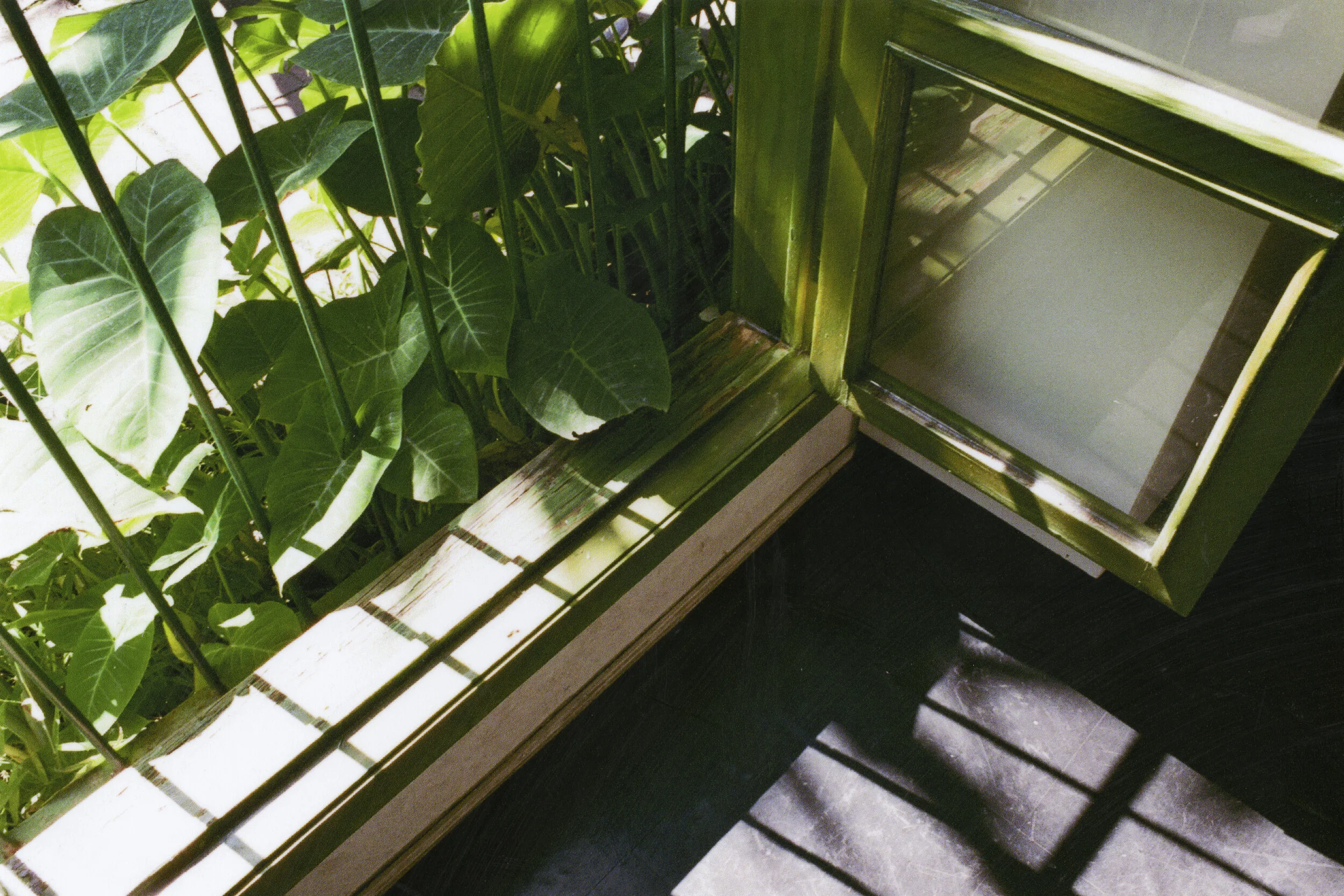 haluka-yagi--vancouver-bc--film-photography-35.jpg